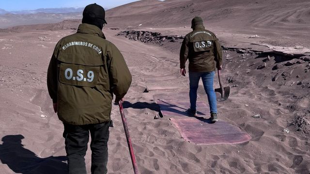 Laminas cobre Carabineros