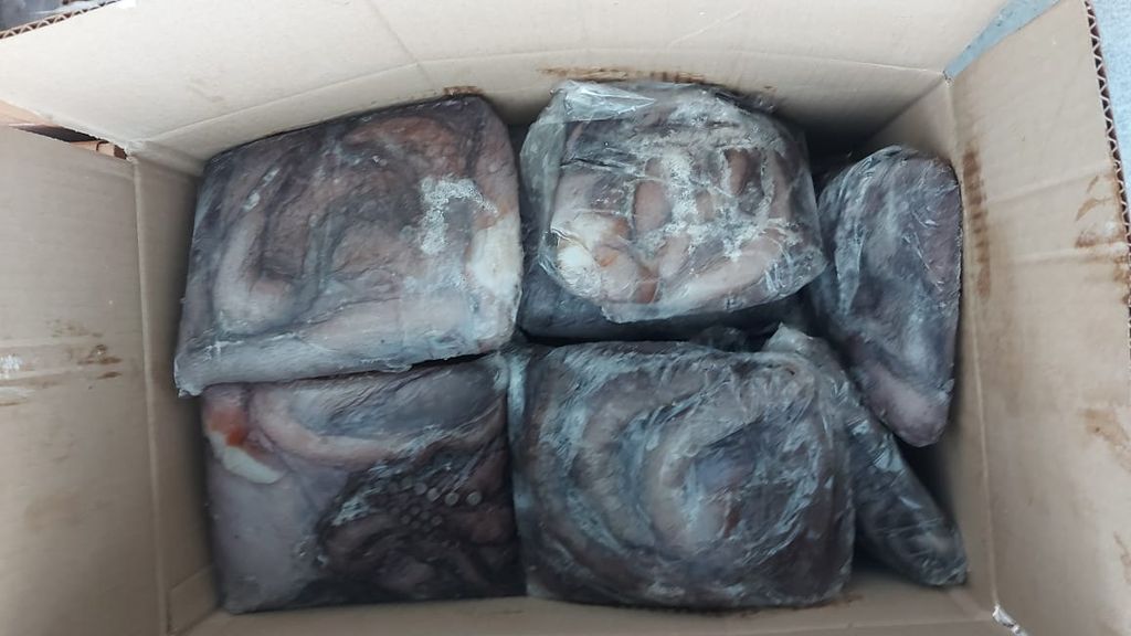 incautacion-pulpo-afta3 incautacion-pulpo-afta3