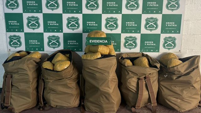 88 kilos de marihuana en Calama