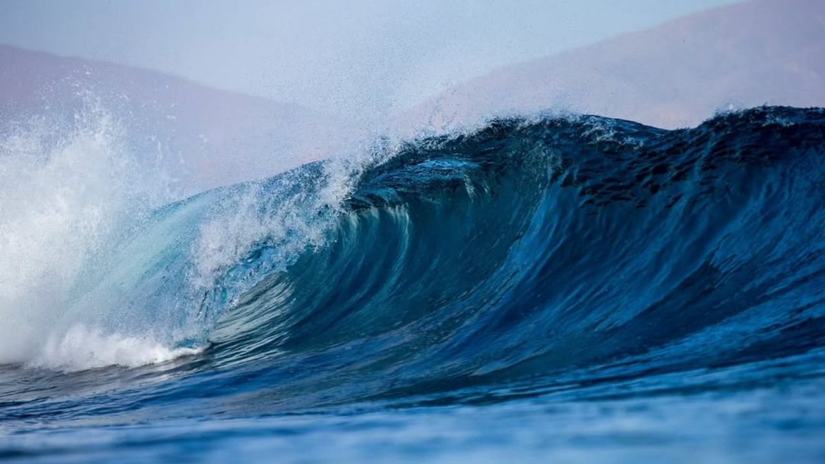 Campeones de Surf y Bodyboard en La Cúpula 2025