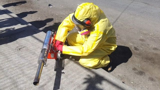 Fumigación Aedes Aegypti sector norte Antofagasta