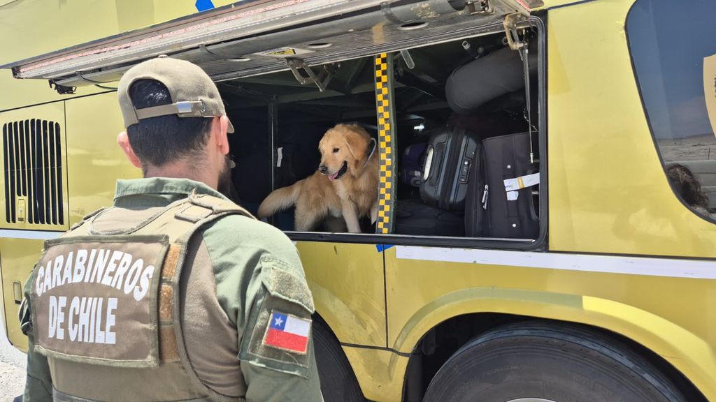 Carabineros droga Carabineros droga