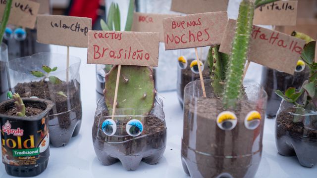 Medioambiente Minera Escondida