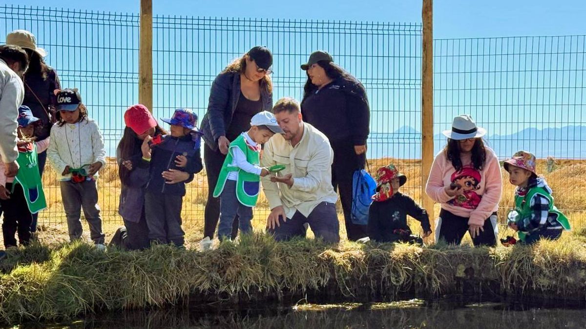 Descubrimiento de biodiversidad en Salar de Atacama por niños de Parinitas Descubrimiento de biodiversidad en Salar de Atacama por niños de Parinitas