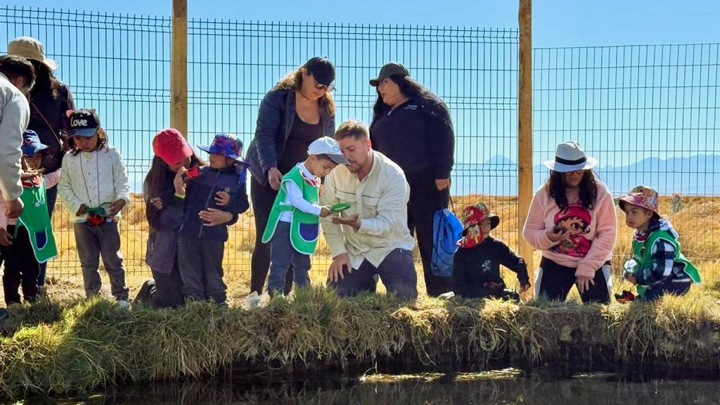 Jardín Peine Jardín Peine