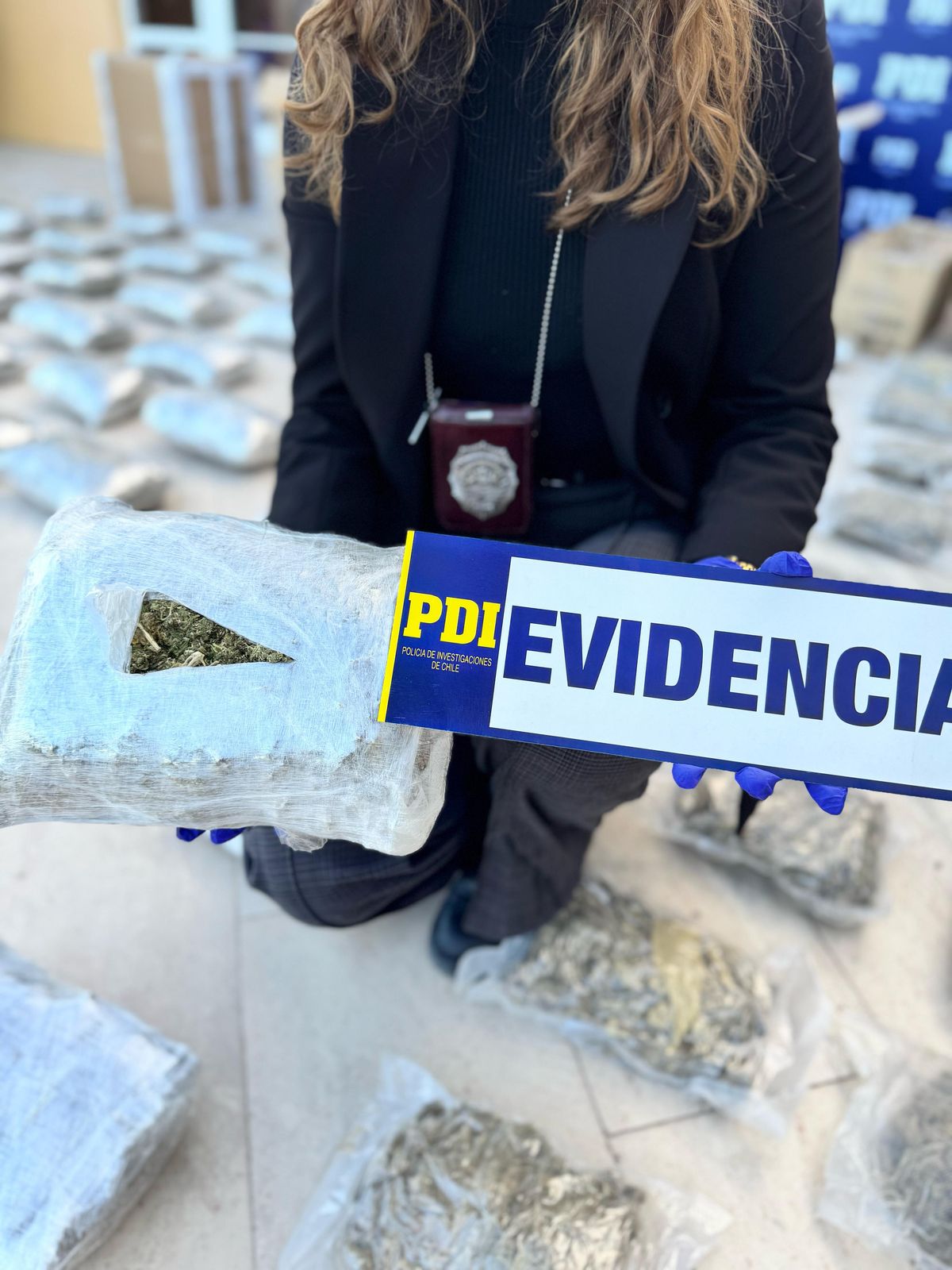 Incautados más de 90 kg de cannabis en Calama Incautados más de 90 kg de cannabis en Calama