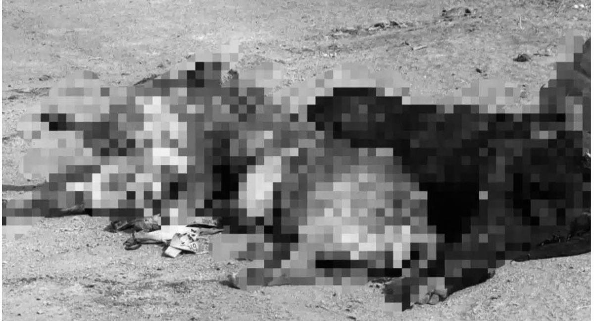 Diputado denuncia brutal matanza de perros en Calama Diputado denuncia brutal matanza de perros en Calama