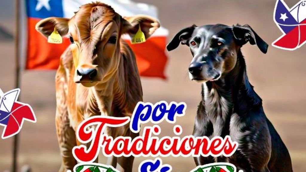 tradiciones sin maltrato tradiciones sin maltrato