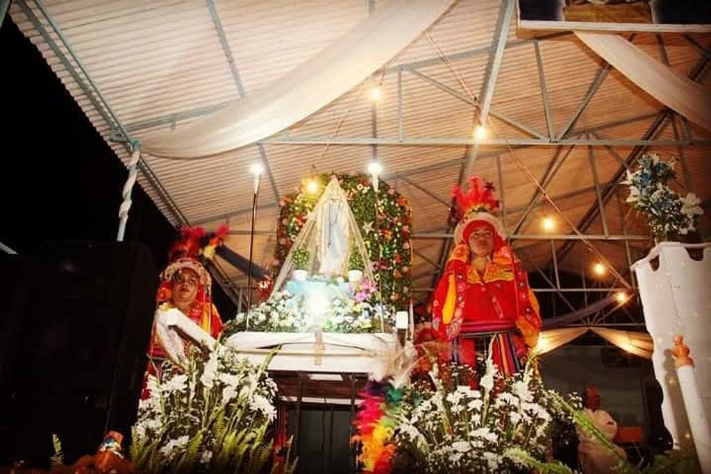 Celebración Virgen de Lourdes Celebración Virgen de Lourdes