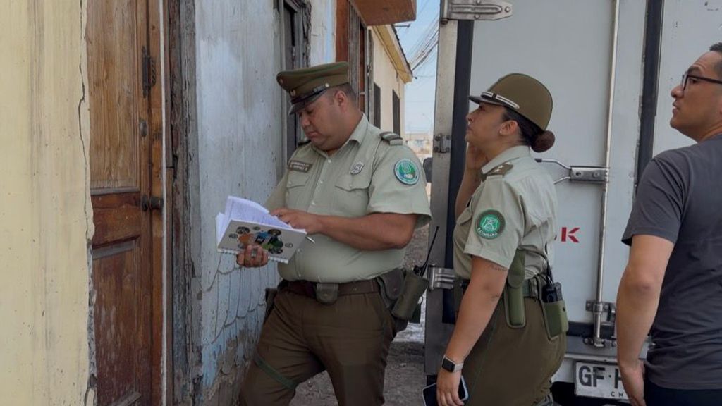 Presunto maltrato animal calle Mejillones Antofagasta