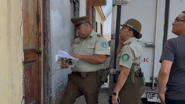 Presunto maltrato animal calle Mejillones Antofagasta Presunto maltrato animal calle Mejillones Antofagasta
