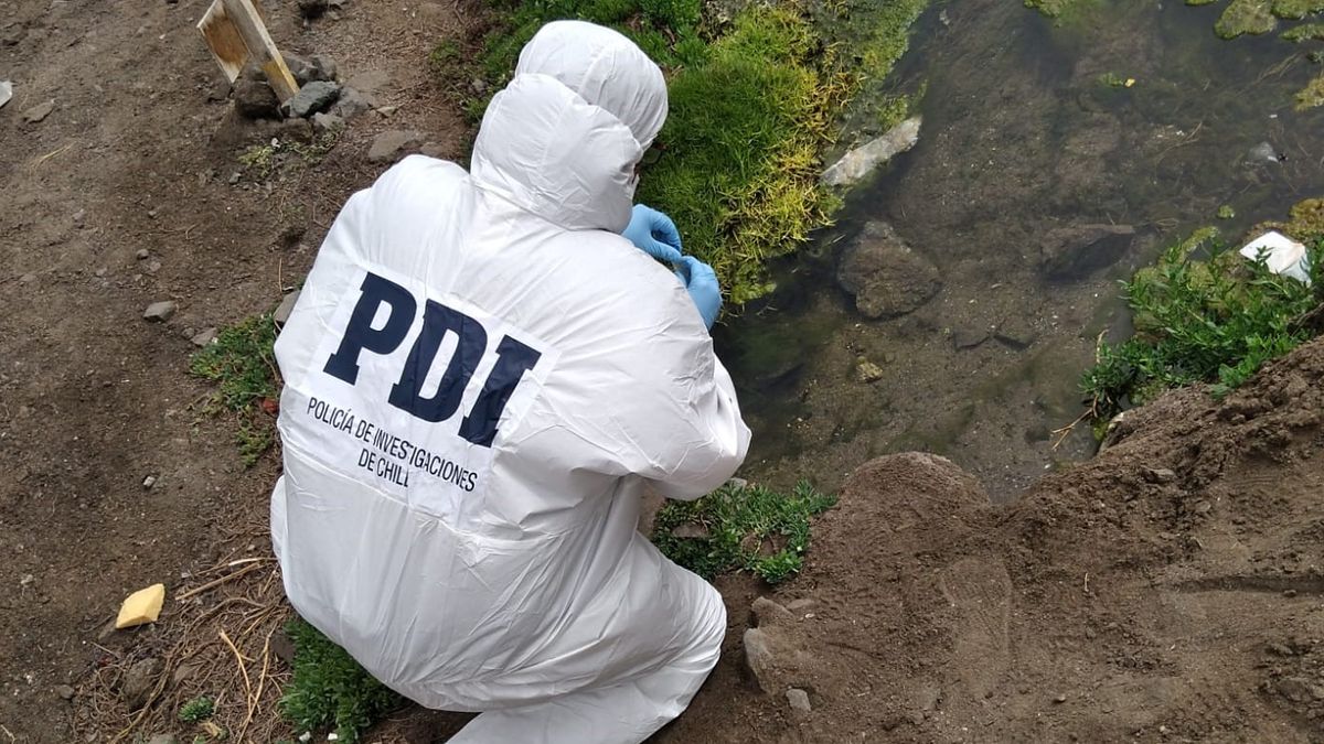 Alertan sobre posible contaminación en Humedal Urbano Vertientes La Chimba Norte Alertan sobre posible contaminación en Humedal Urbano Vertientes La Chimba Norte