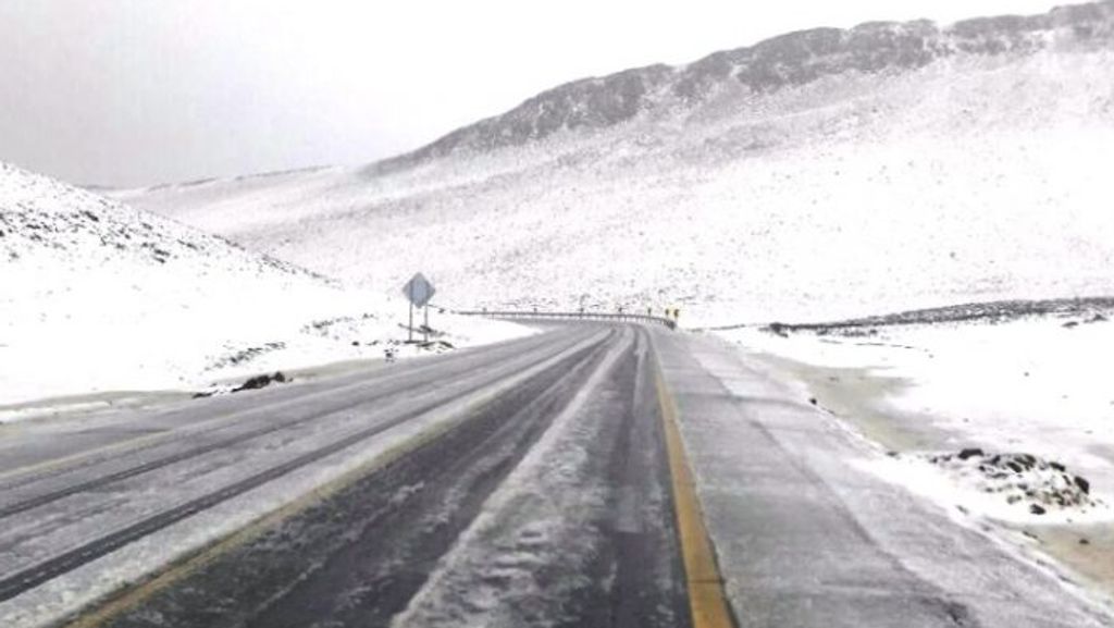 nevadas