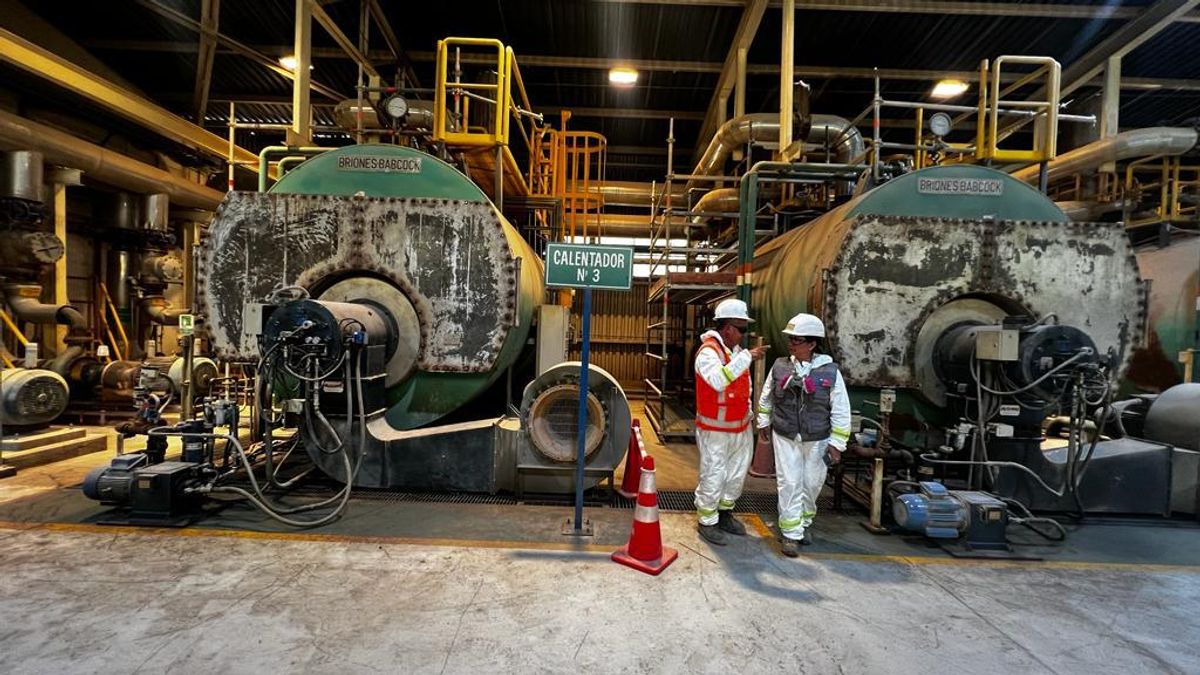 Alertan sobre riesgos de calderas y autoclaves no autorizados Alertan sobre riesgos de calderas y autoclaves no autorizados
