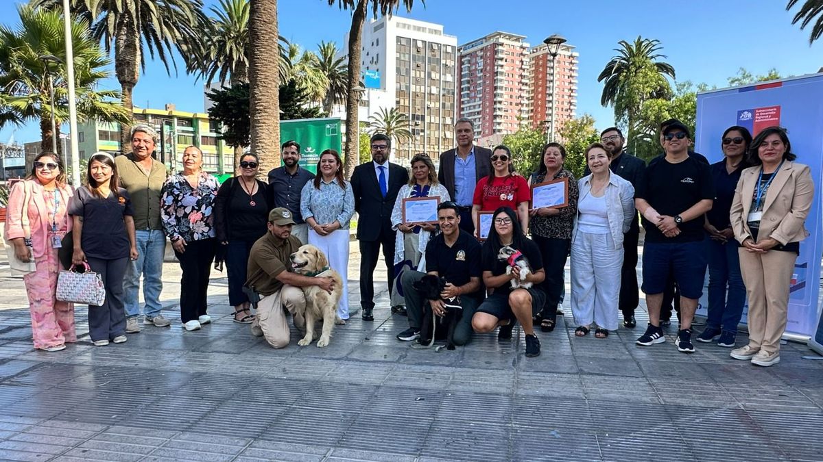 Apoyo económico para esterilizaciones en Antofagasta Apoyo económico para esterilizaciones en Antofagasta