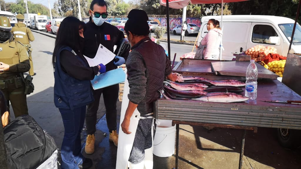 Decomiso Pescado Vega Central Decomiso Pescado Vega Central