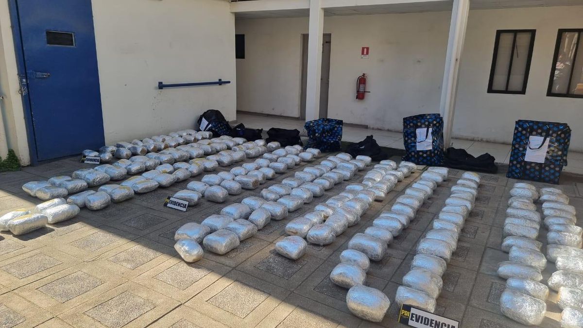 Golpe al narcotráfico en Calama: 200 kilos de cannabis incautados Golpe al narcotráfico en Calama: 200 kilos de cannabis incautados