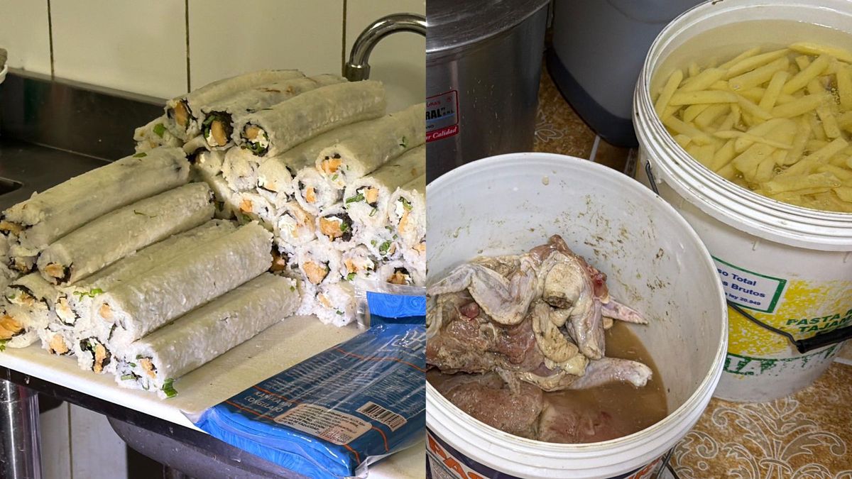 Prohiben funcionamiento a locales por moscas y fecas de roedor en Mejillones