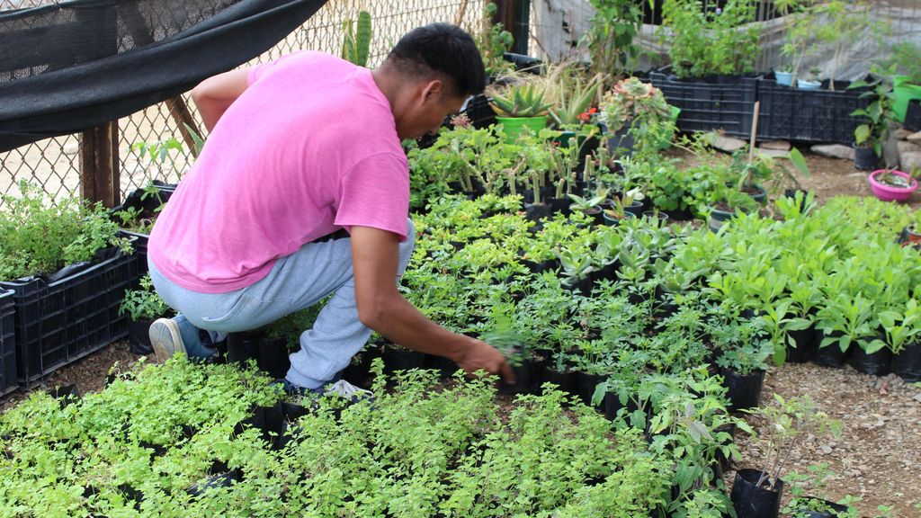 Reinserción Social Reinserción Social