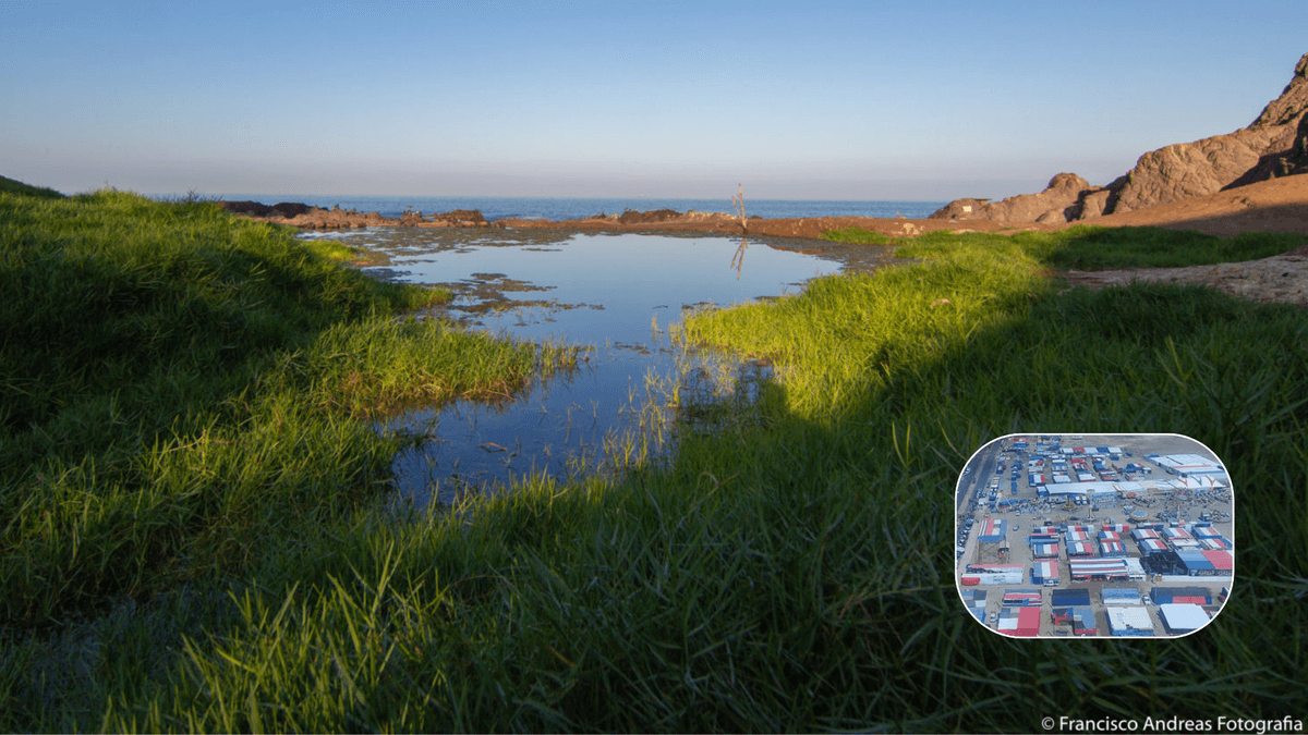 Fundación Kennedy rechaza instalación de ramadas cerca de Humedal Aguada Fundación Kennedy rechaza instalación de ramadas cerca de Humedal Aguada