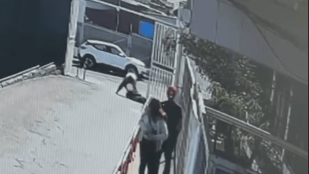 asalto adulta mayor asalto adulta mayor