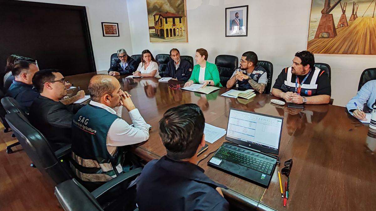 Fiestas Seguras: Gobierno refuerza medidas para Navidad y Año Nuevo Fiestas Seguras: Gobierno refuerza medidas para Navidad y Año Nuevo