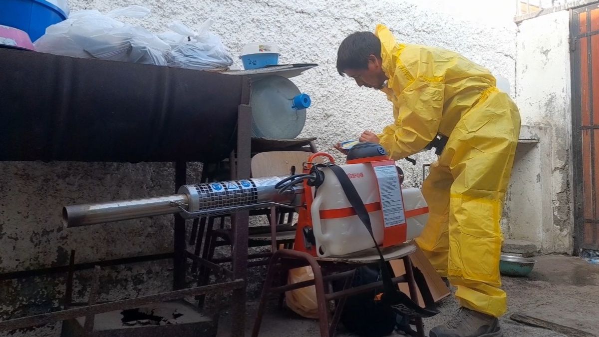 Fumigación Aedes Aegypti sector norte Antofagasta Fumigación Aedes Aegypti sector norte Antofagasta