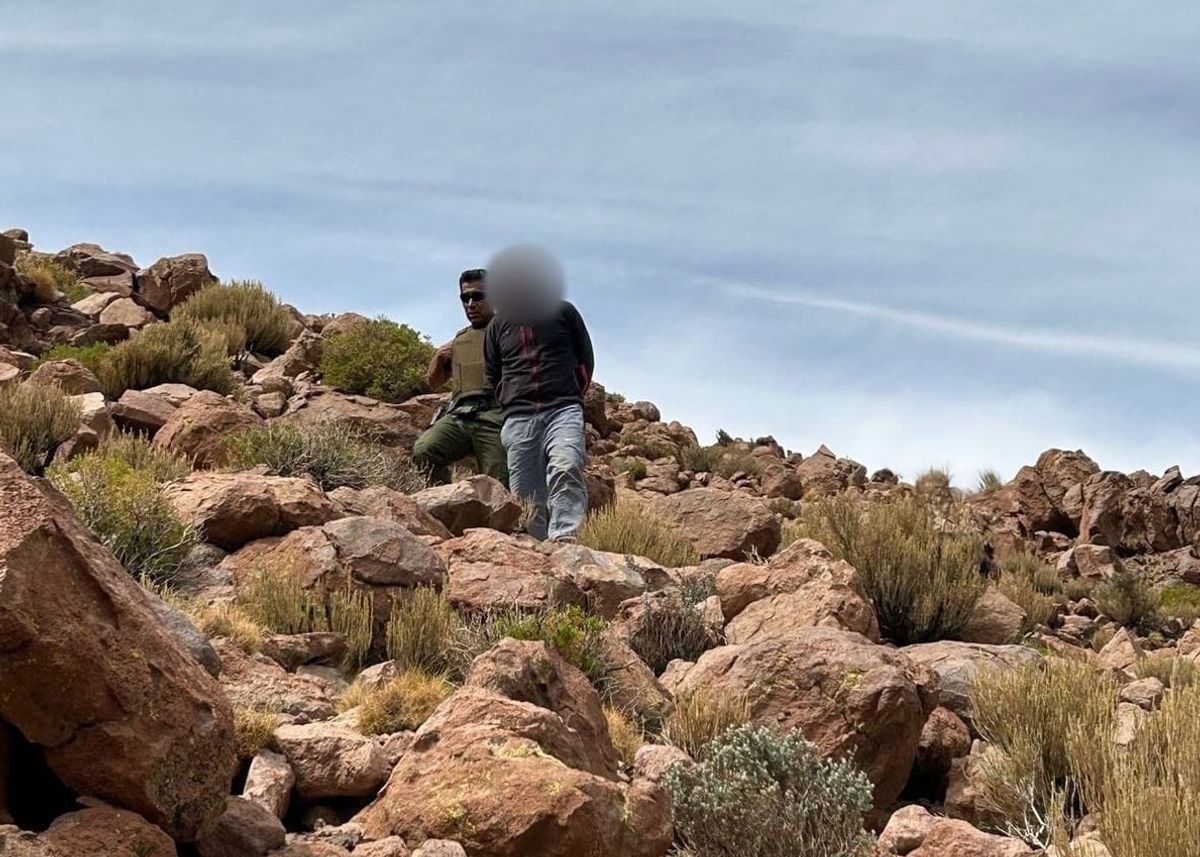 Boliviano en prisión por cacería ilegal de vicuñas Boliviano en prisión por cacería ilegal de vicuñas