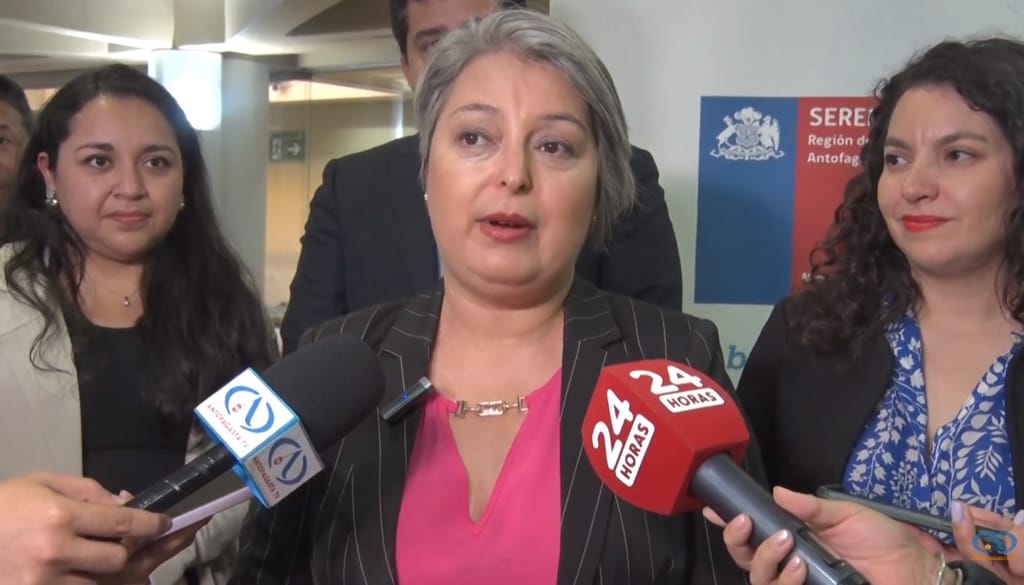 Ministra del Trabajo Jeannette Jara Ministra del Trabajo Jeannette Jara
