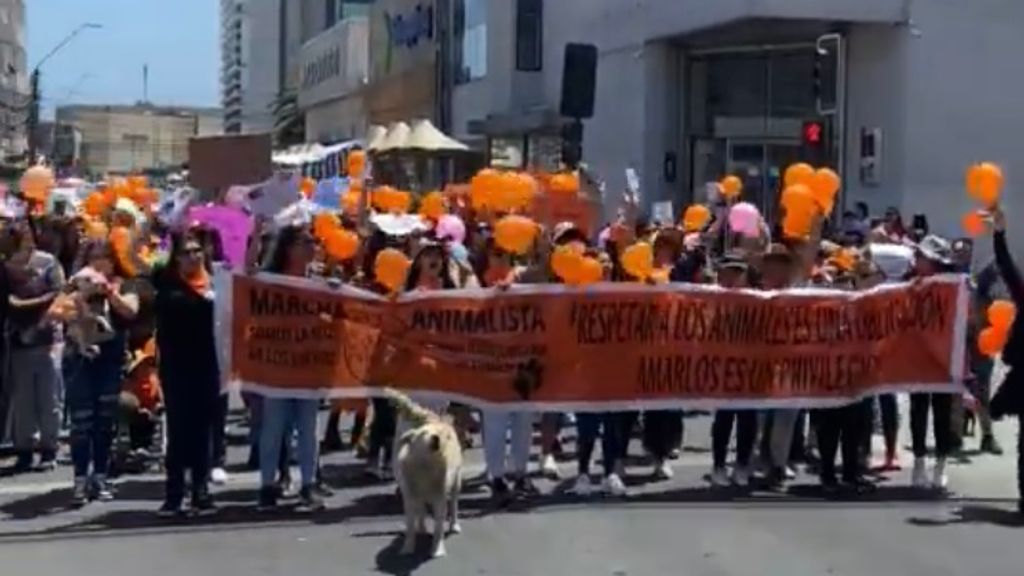 Marcha Animalista Marcha Animalista