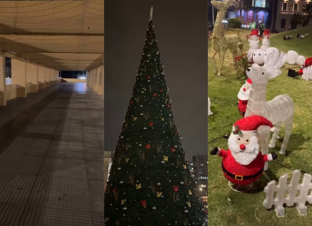 Árbol de Navidad Municipalidad Árbol de Navidad Municipalidad