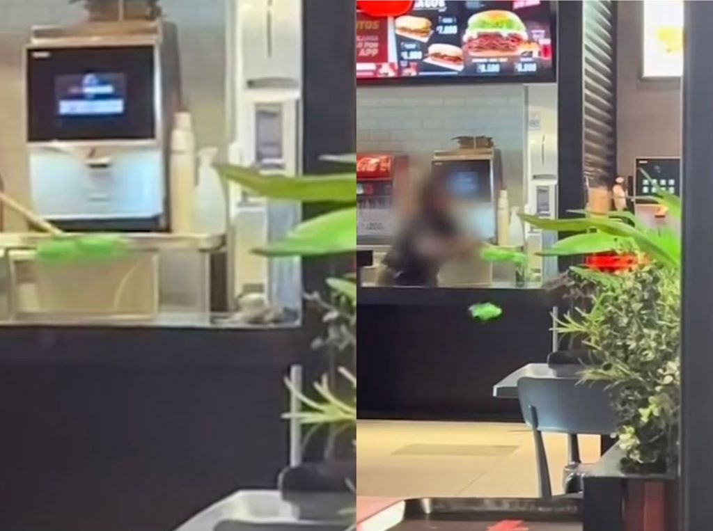 Ratón en Patio de Comidas Ratón en Patio de Comidas