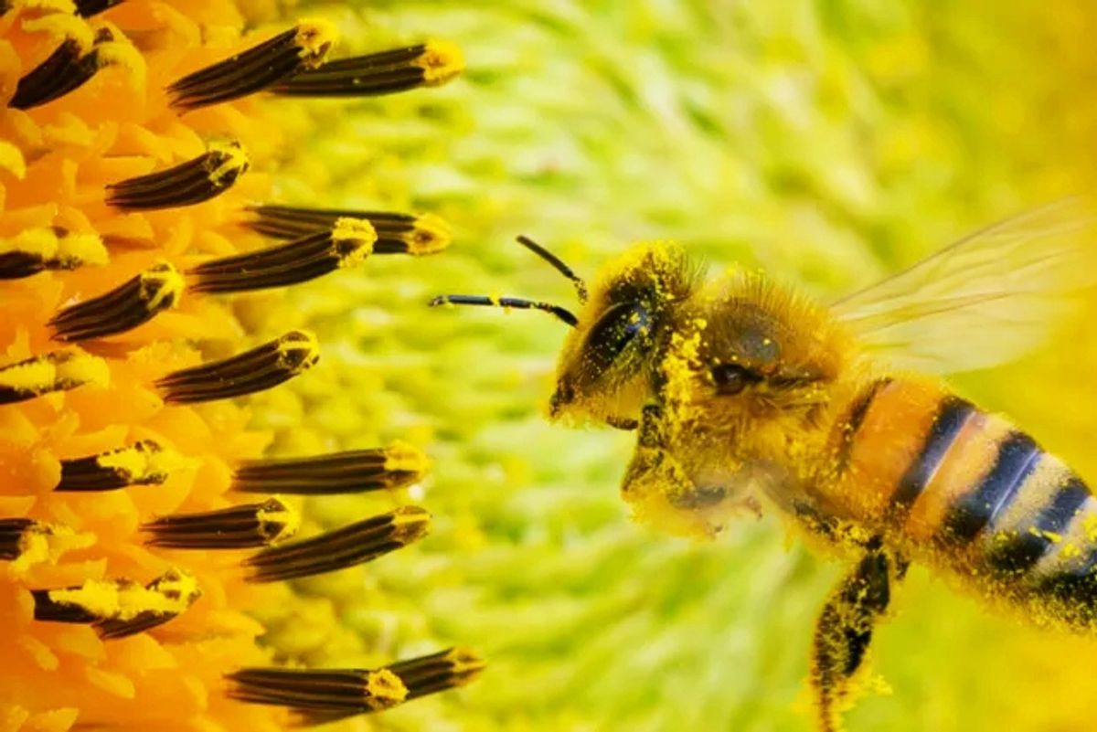 medio ambiente medio ambiente