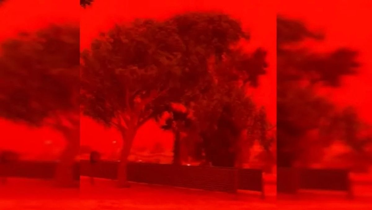 medio ambiente medio ambiente