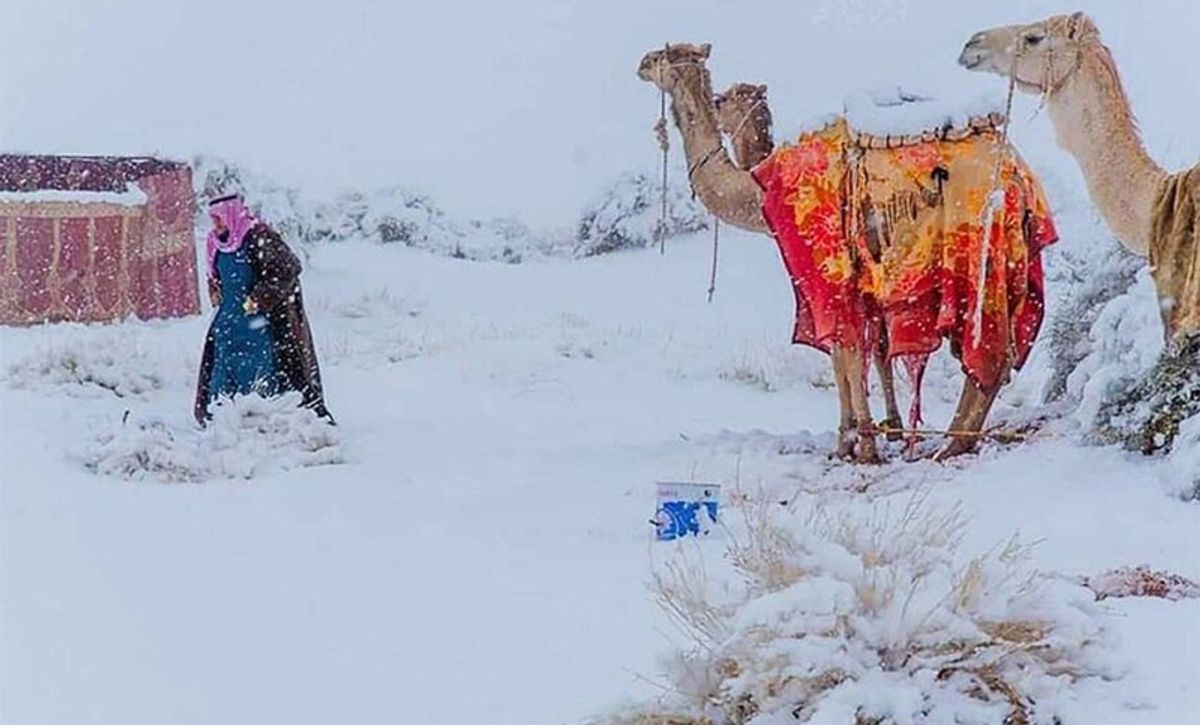 cambio climático cambio climático