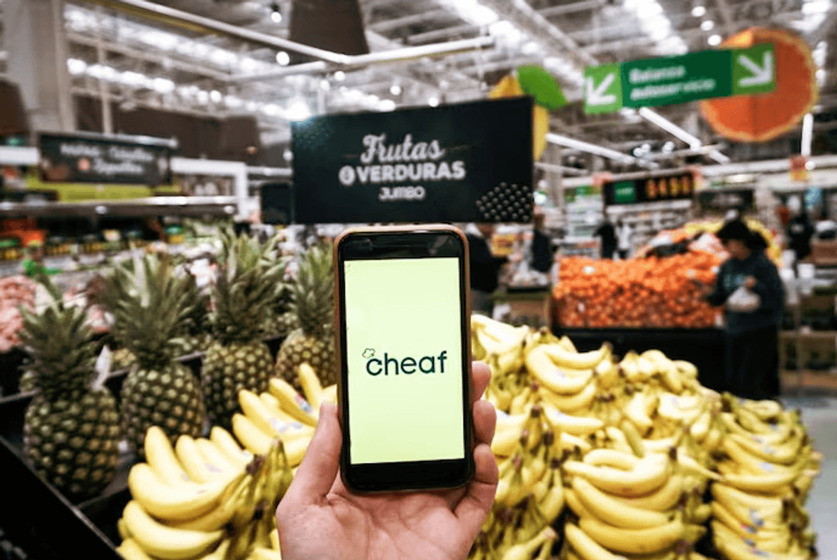 medio ambiente medio ambiente