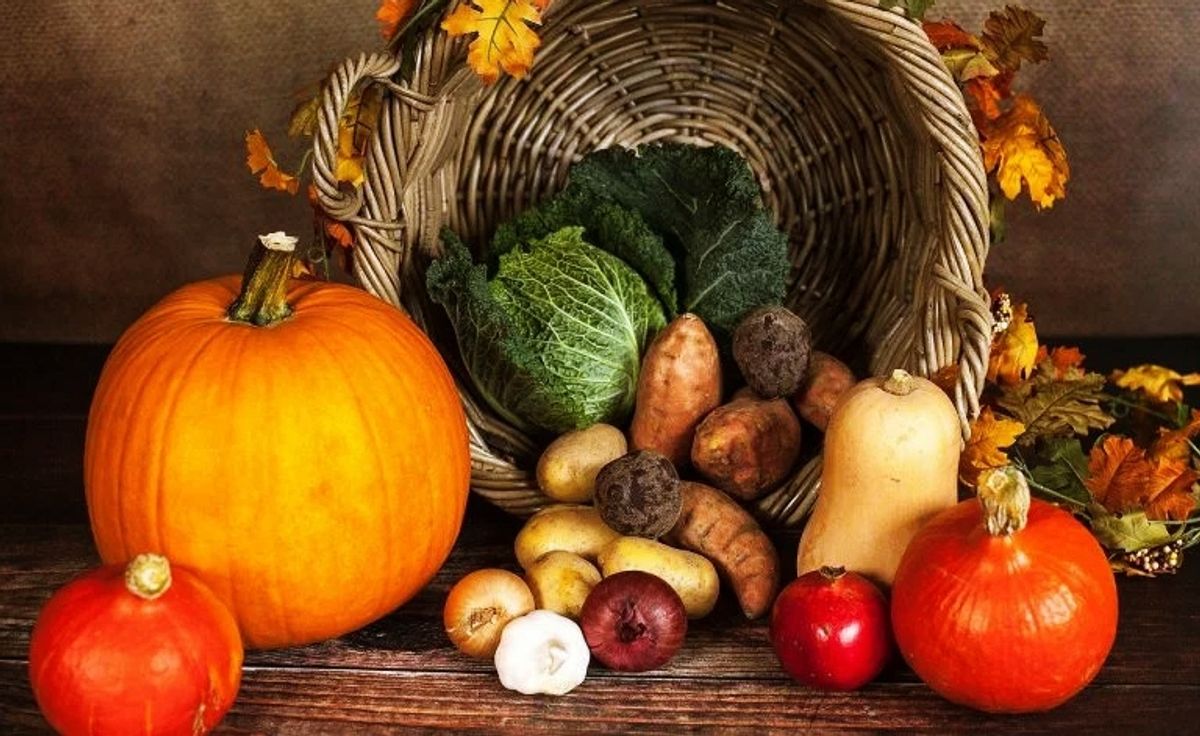 alimentos alimentos