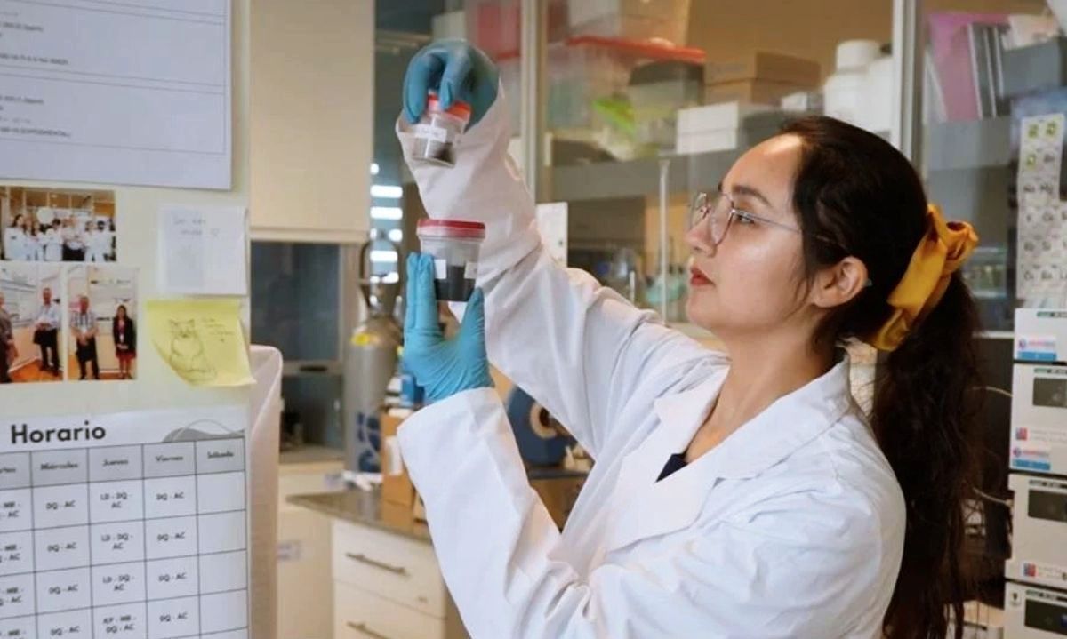ciencia ciencia