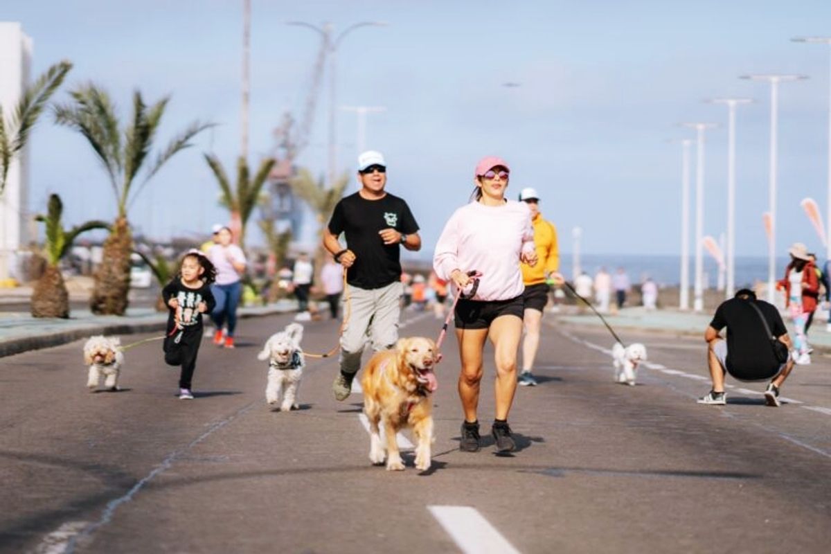 Antofagasta Antofagasta