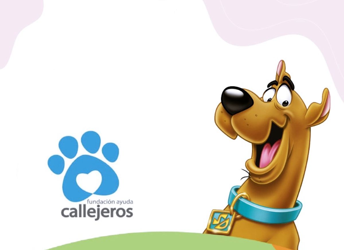 mascotas mascotas