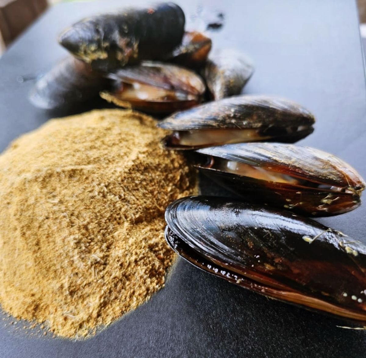 medio ambiente medio ambiente