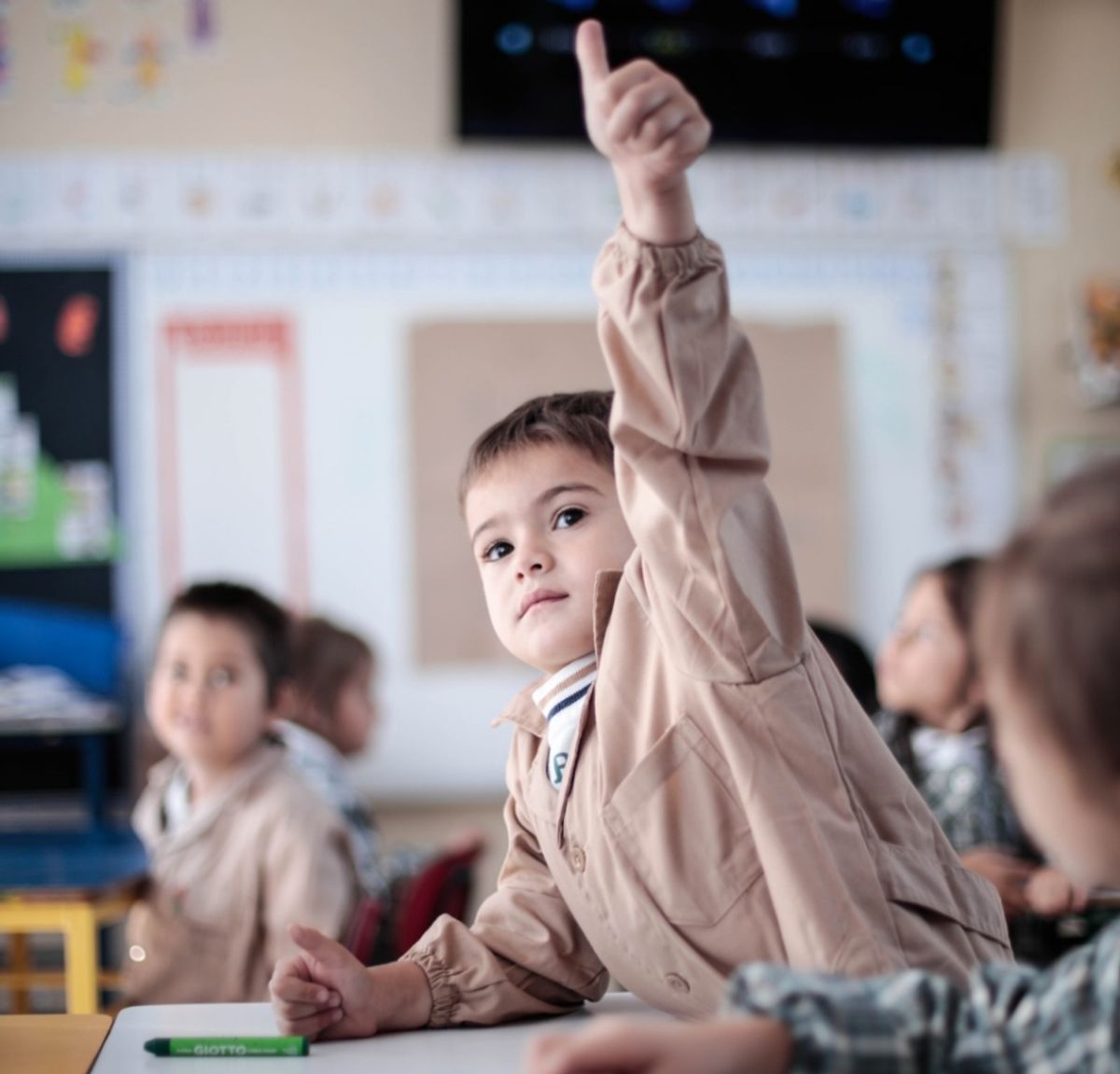 educación educación