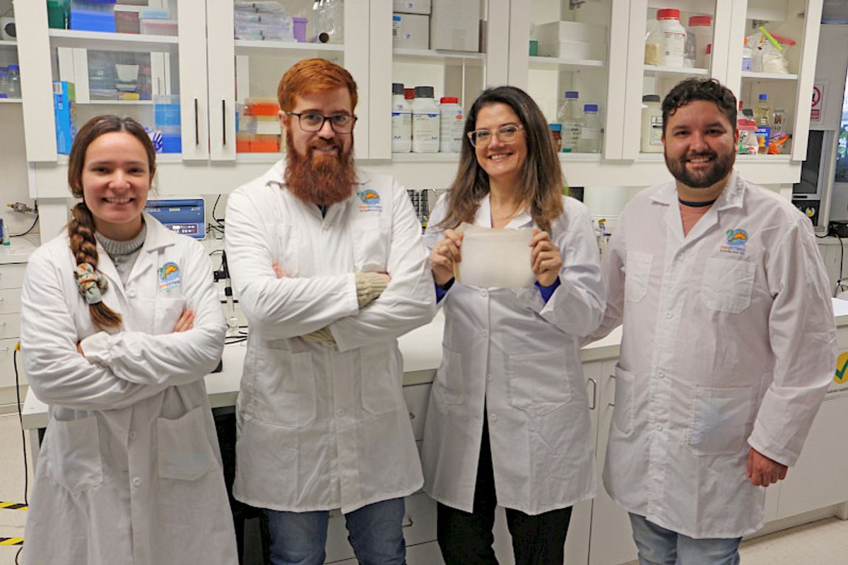innovación innovación