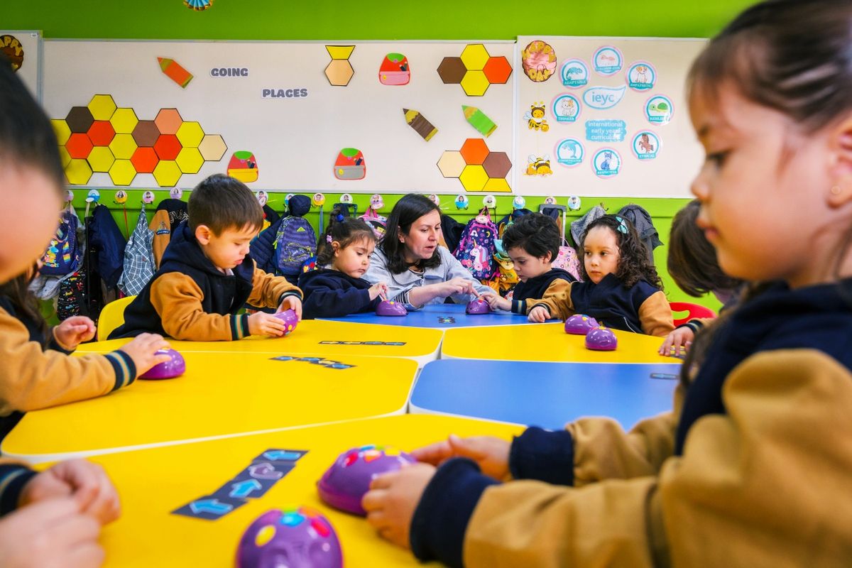 educación educación