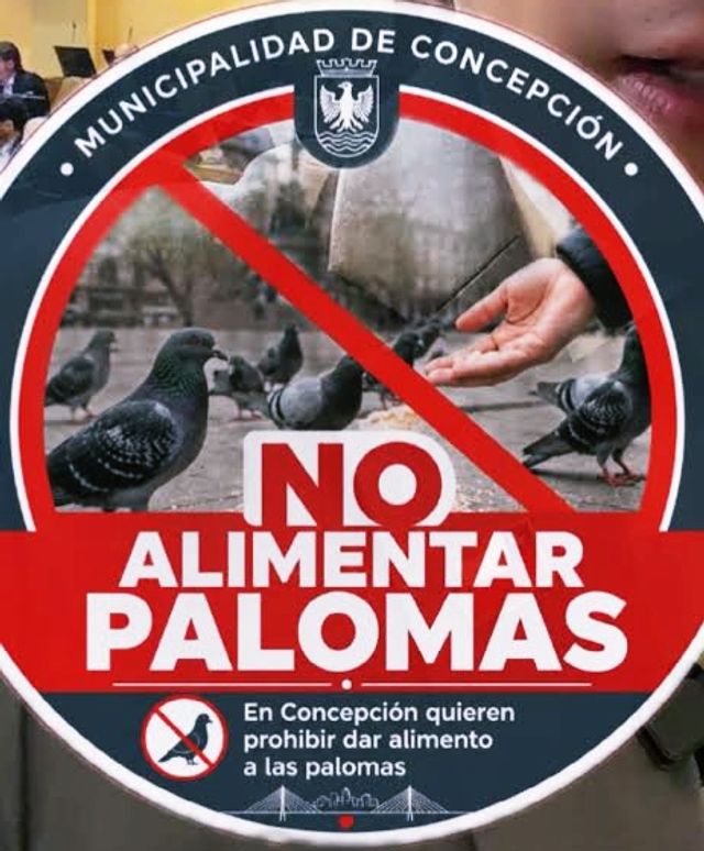 salud salud