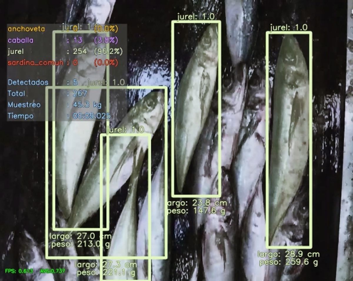 medio ambiente medio ambiente