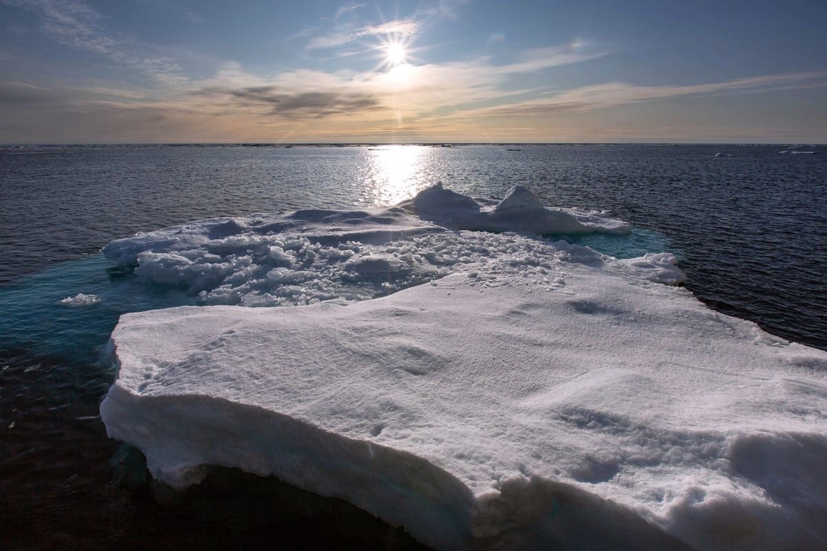 medio ambiente medio ambiente