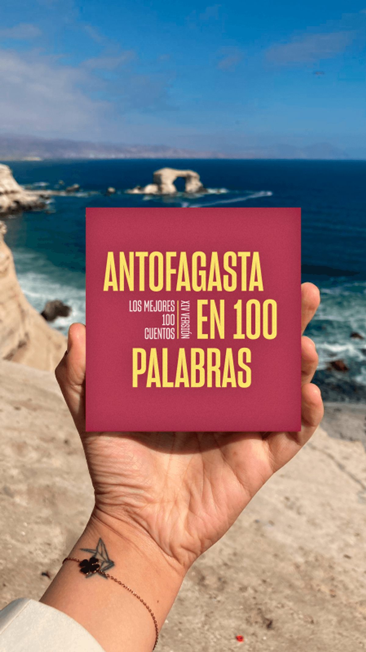 Portada libro A100P 2024 Portada libro A100P 2024