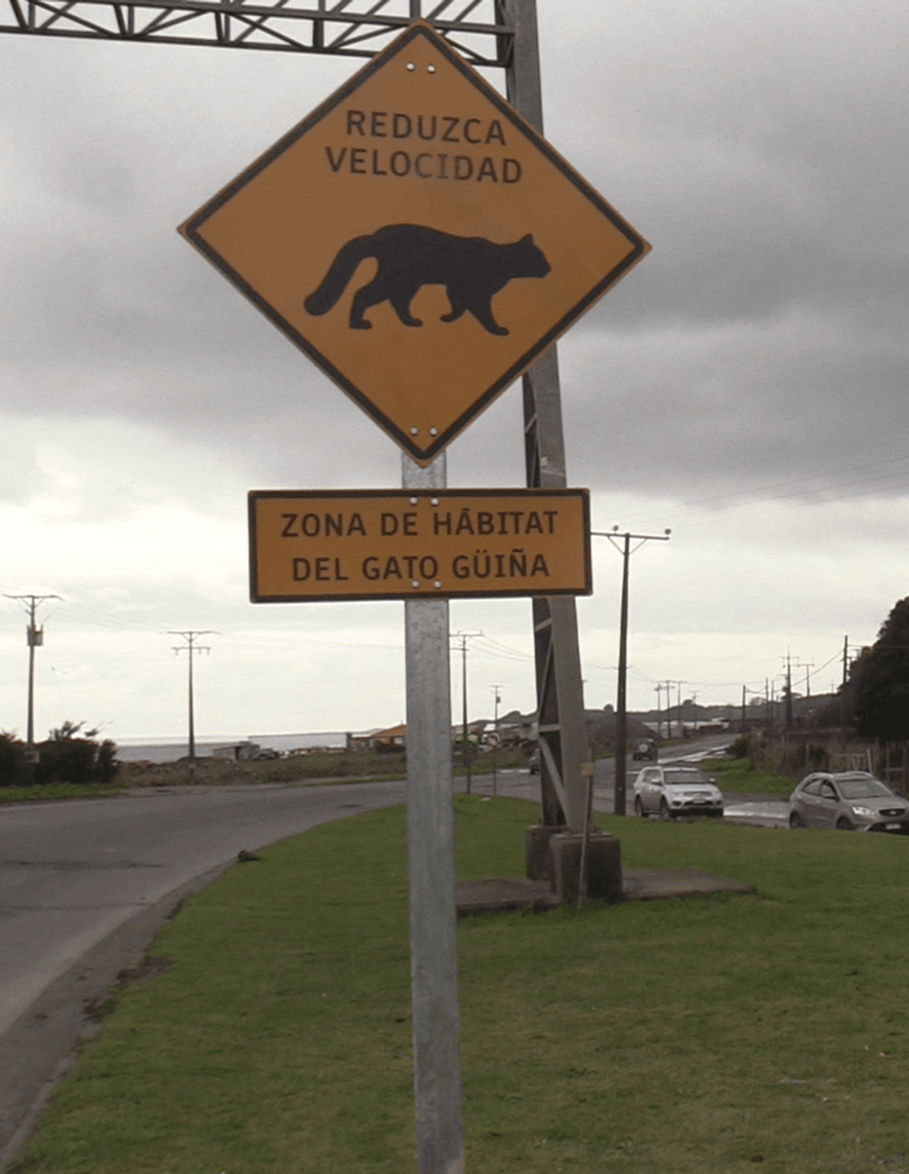 LETREROS LETREROS