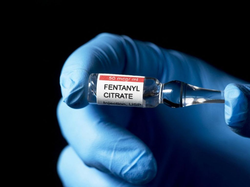 149-1-CIENCIA_Fentanilo_SHERRY-YATES-YOUNG-_-SCIENCE-PHOTO-_-SYO-_-Science-Photo-Library-via-AFP- 149-1-CIENCIA_Fentanilo_SHERRY-YATES-YOUNG-_-SCIENCE-PHOTO-_-SYO-_-Science-Photo-Library-via-AFP-